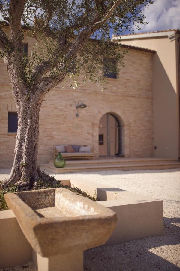 친골리 Casale Tre Gelsi B&B 외부 사진