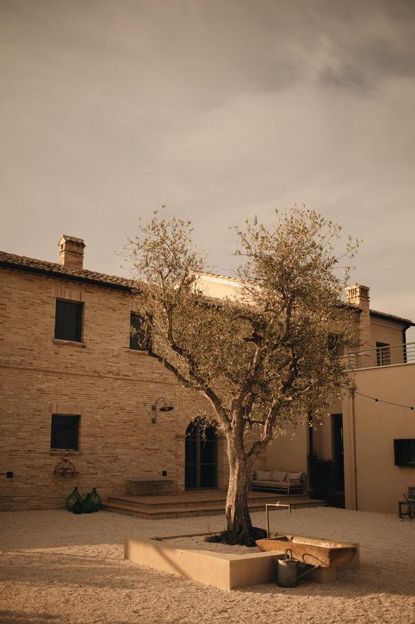 친골리 Casale Tre Gelsi B&B 외부 사진